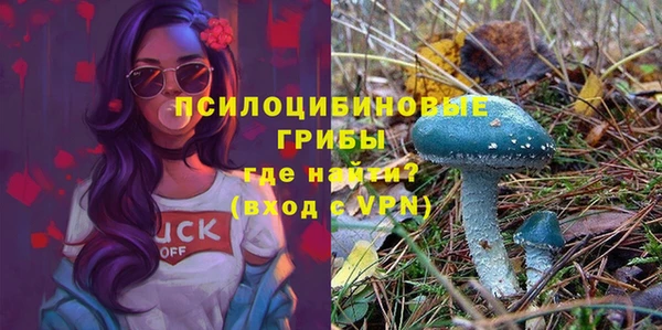 дурь Богданович